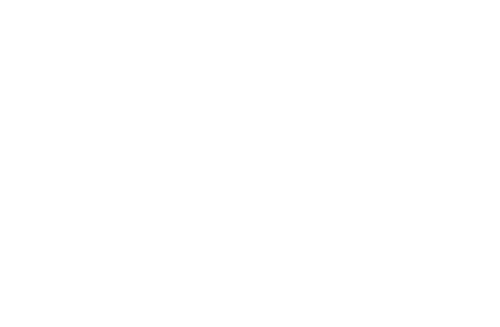 Fairway Mortgage Solutions - Logo V.2 - White